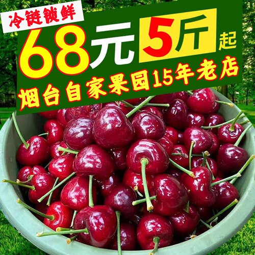 烟台大樱桃新鲜水果整箱国产孕妇脆甜美早车厘子当季露天山东樱桃