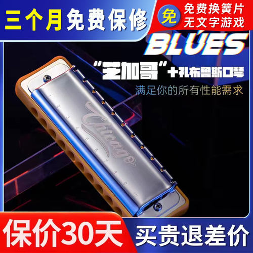 JDR嘉德瑞10孔C调布鲁斯口琴
