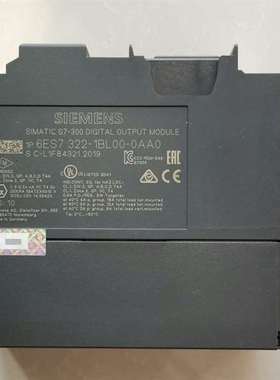 议价-西门子322-1BL00,正品功能包好，橙色如图