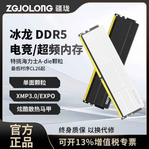 疆珑DDR56000台式机内存条
