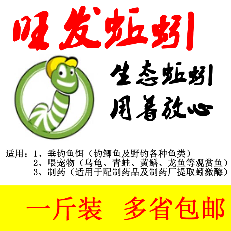沧州蚯蚓活饵鲜活蚯蚓活体盒装鱼饵活蚯蚓江河红蚯蚓鲜野钓活垂钓