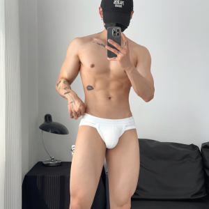 2条装男士三角内裤低腰纯色华夫格性感高叉枪弹分离U凸舒适棉包邮