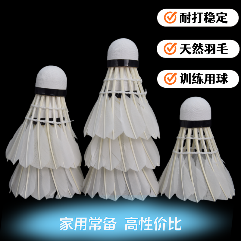 正品燕宇羽毛球耐打5308白鸭弯毛训练家庭娱乐用球学生初级训练球,运动/瑜伽/健身/球迷用品,羽毛球,淘宝优惠券,粉丝福利购,淘宝优惠卷