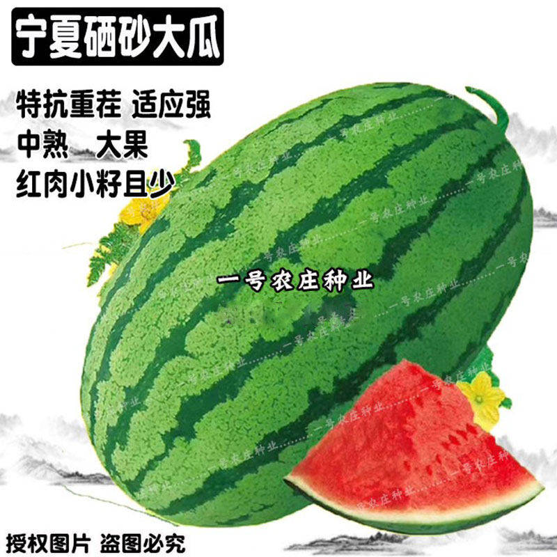 特大巨型超甜懒汉西瓜种子抗重茬家庭园艺种子