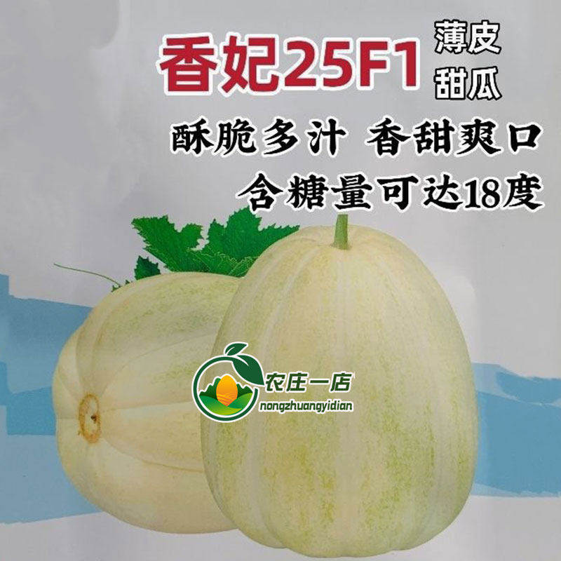 香妃甜瓜种子早熟薄皮黄白皮杂交家庭园艺种子