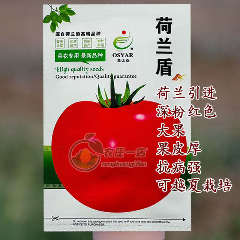 荷兰盾高端番茄种子荷兰引进无限生长高圆型深粉红西红柿蔬菜种籽