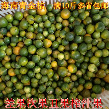 包邮新鲜海南青金桔小金桔青橘小青桔二级果丑果榨汁用果 1斤起发