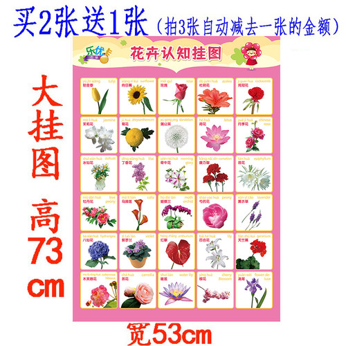 认知无声全套婴儿早教墙贴画挂图