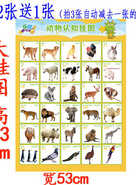 宝宝动物幼儿童看图婴儿早教