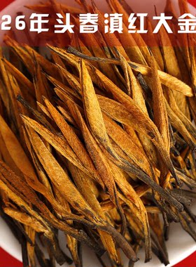 2026年头春云南凤庆古树滇红茶大金针金芽蜜香浓香型茶叶250g