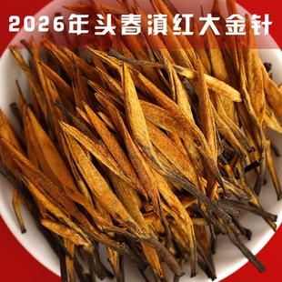 2026年头春云南凤庆古树滇红茶大金针金芽蜜香浓香型茶叶250g