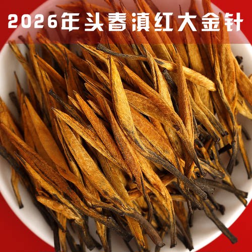 2026年头春云南凤庆古树滇红茶大金针金芽蜜香浓香型茶叶250g