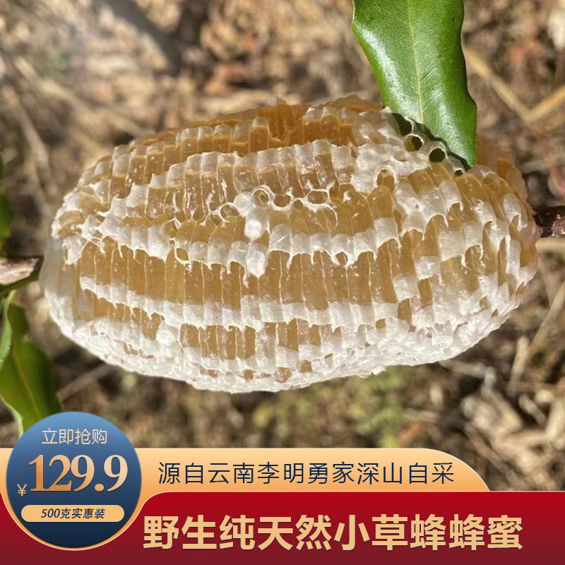 2025云南野生小草蜂蜜农家自采深山正宗百花蜜无添加土蜂蜜500克