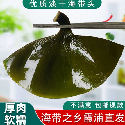 霞浦海带头特厚优质淡干海带头厚肉软糯海带根海带头新货独立包装