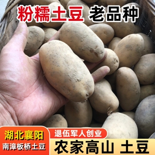 新鲜土豆高山洋芋湖北南漳板桥农家粉糯小土豆黄心阳芋做种马铃薯