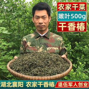 干香椿芽干货500g湖北襄阳土特产野生嫩香春菜农家自采晒干香椿叶
