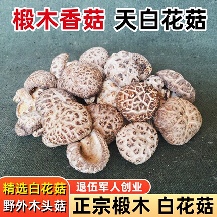 椴木花菇干货精选白花菇木头菇香茹湖北特产农家冬磨菇大花菇500g