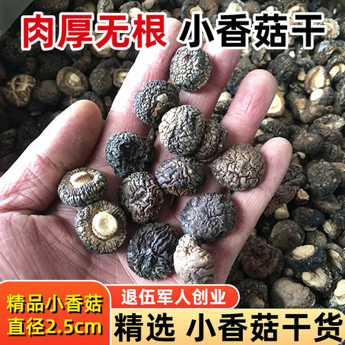 小香菇干货特级小蘑菇商用金钱菇