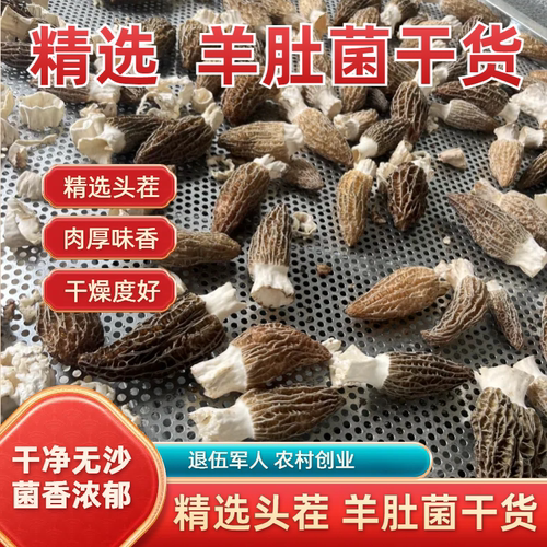 羊肚菌干货炖汤食材羊肚蘑菇