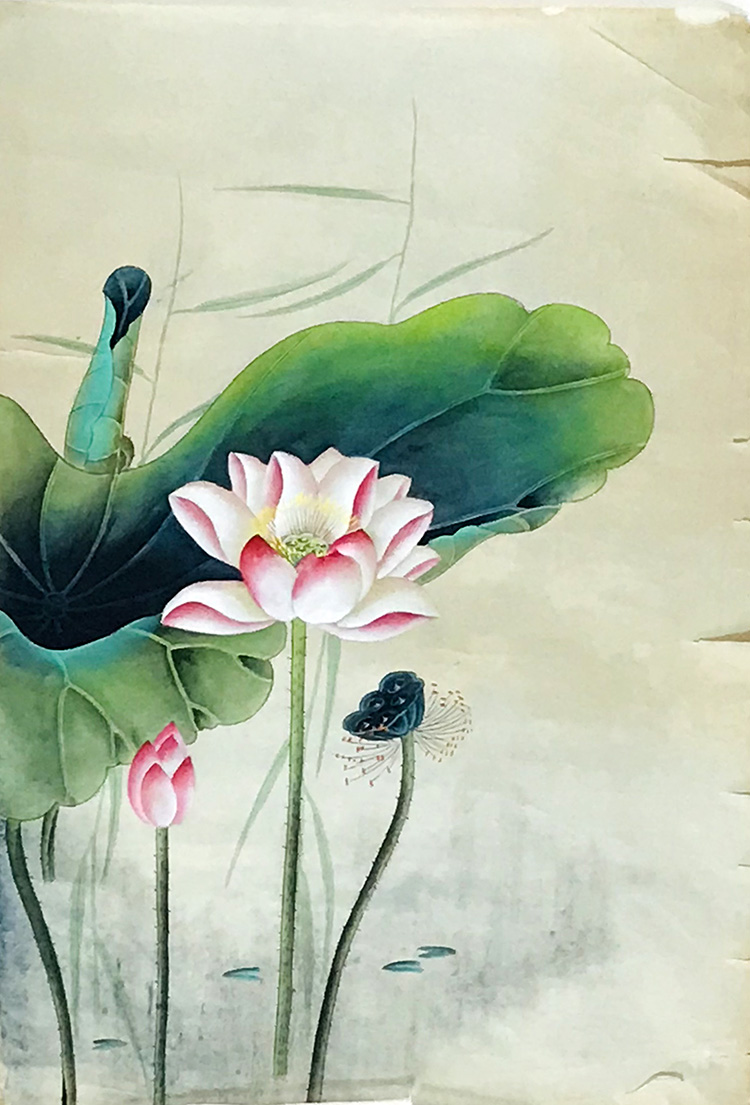 字画捡漏花鸟国画宣纸原稿手绘特价竖幅工笔荷花莲花无落款X28139