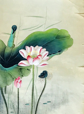 字画捡漏花鸟国画宣纸原稿手绘特价竖幅工笔荷花莲花无落款X28139