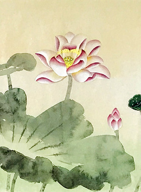 字画捡漏花鸟国画宣纸原稿手绘特价横幅工笔荷花莲花无落款X28141