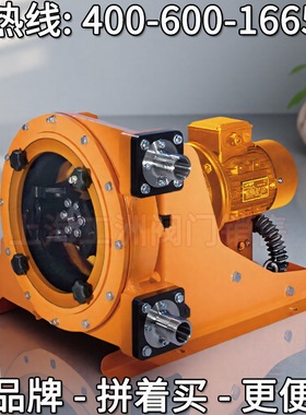 普罗铭特计量泵DULCO flex DFCa 蠕动泵