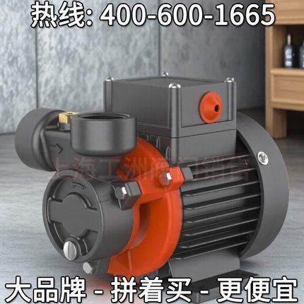 leo利欧股份XQm微型漩涡离心泵 浙江利欧泵业