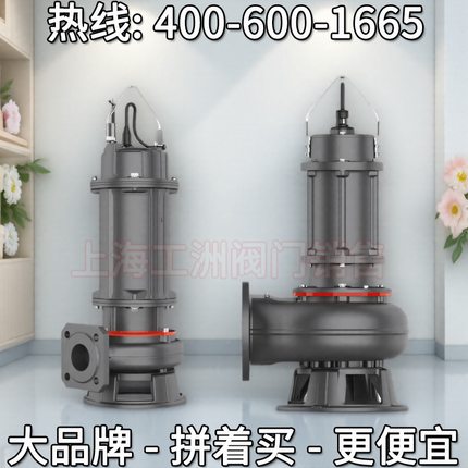 leo利欧股份WQ重污系列 利欧卧式离心泵 无锡利