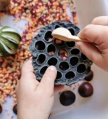 瑞吉欧秋天自然元 素感官莲蓬幼儿小肌肉精细动作大米鹰嘴豆