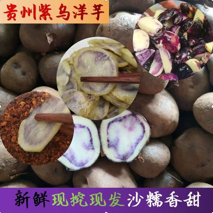 新鲜七彩小乌洋芋土豆高山老品种云南贵州黑马铃薯现挖特产大凉山