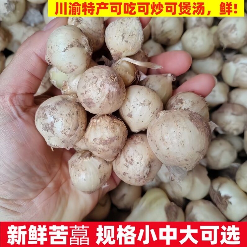 四川新鲜苦藠头团葱小根蒜野葱头薤白农家现挖带泥土中果蔬菜