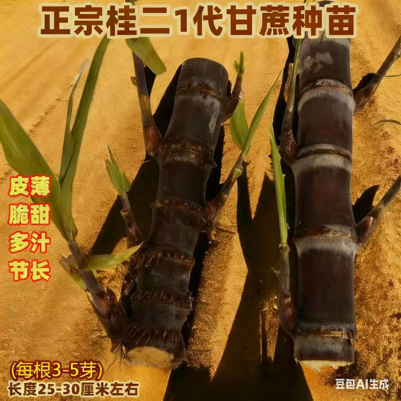 南北方易种广西黑皮黄皮甘蔗苗种子带芽黄金水果盆栽甜甘蔗种苗