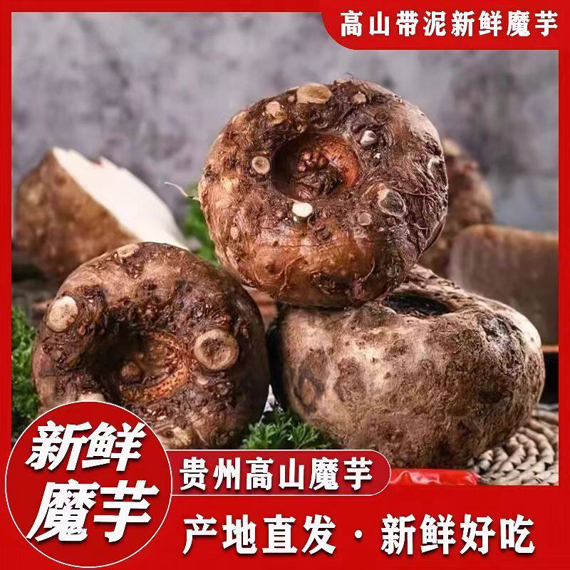 高山种植农家自种魔芋豆腐制作生魔芋头10斤非种子纯手工发货