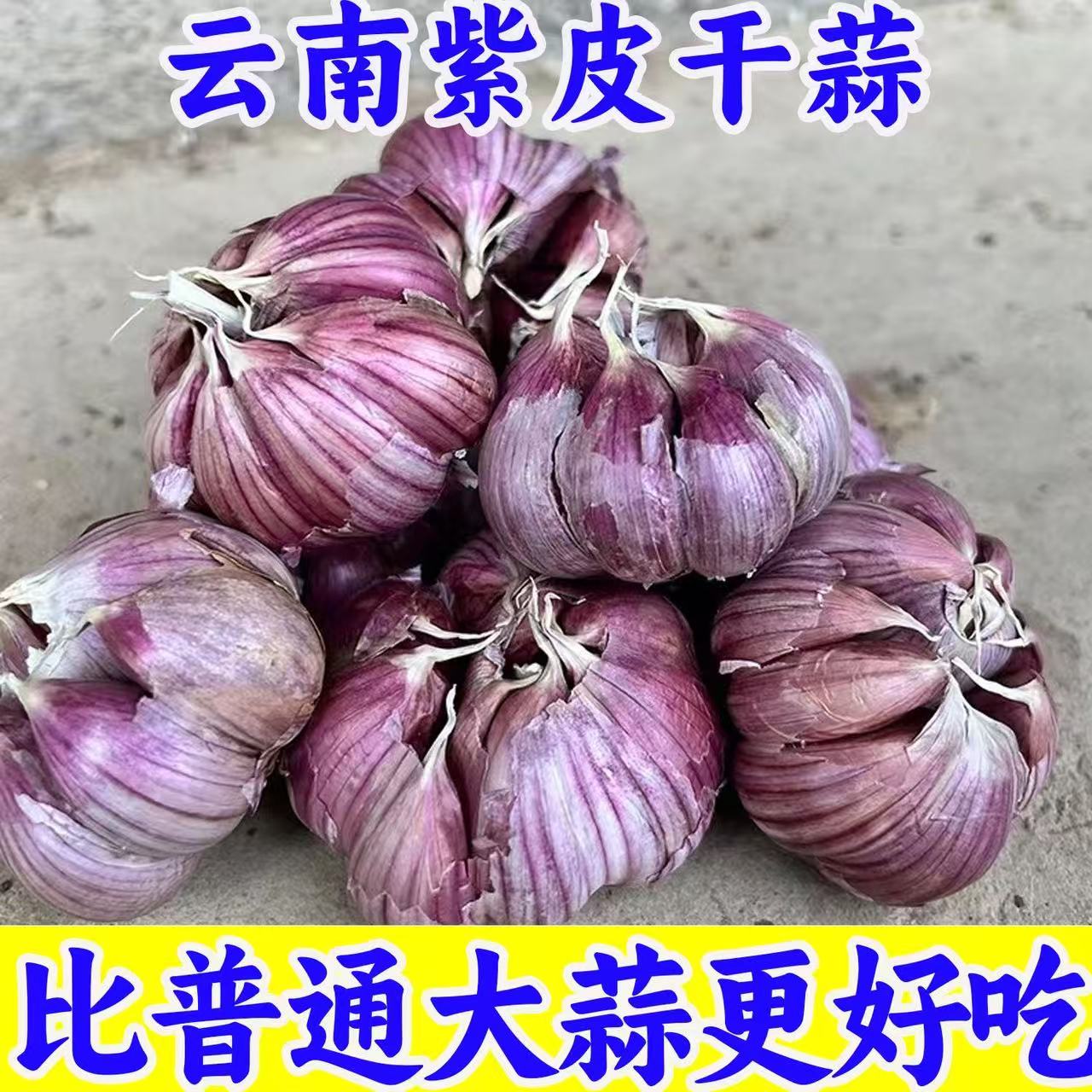 2025云南紫皮大蒜头干蒜5斤红皮多瓣香蒜新晒干大蒜农家特产
