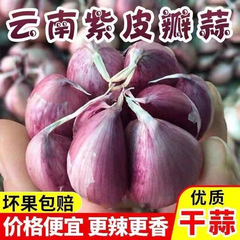 2025新晒云南紫皮大蒜干蒜头5斤红皮多瓣香蒜农家自种特产货