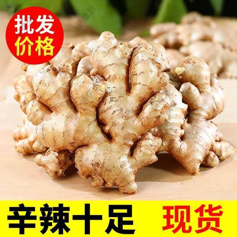 现挖山地老姜云南小黄姜正宗月子姜姜母姜块新鲜蔬菜整箱批量走货