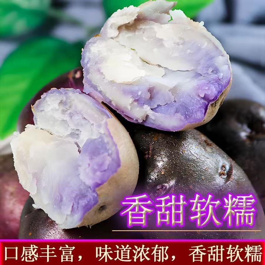 七彩小乌洋芋土豆高山老品种云南贵州黑马铃薯现挖特产大凉山新鲜