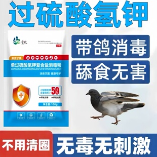 鸽舍专用消毒水剂过硫酸氢钾消毒粉鸽笼鸽窝杀菌日常消毒养殖场正