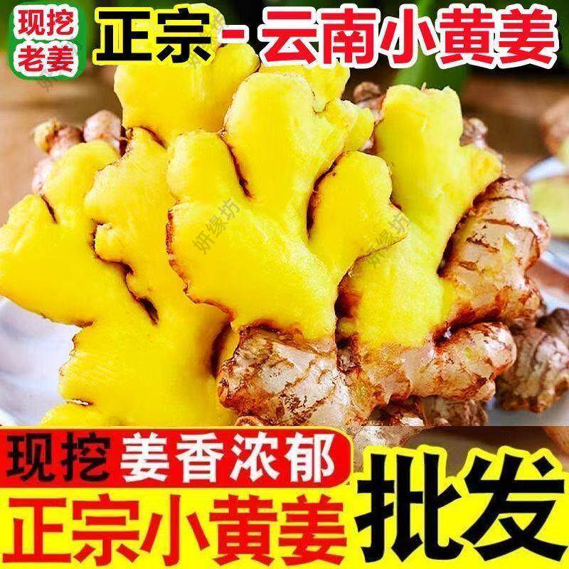 正宗云南小黄姜高山生姜月子姜老姜饭店专供辛辣十足十斤装直发