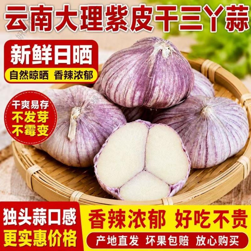2026紫皮蒜干蒜紫皮三丫蒜三瓣丫蒜大蒜新鲜蒜头红皮独头蔬菜装