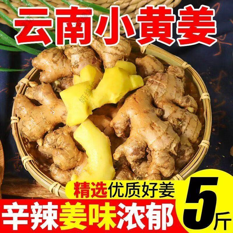 云南农户自销小黄姜老姜现挖黄姜月子姜新鲜蔬菜整箱原产地批发货