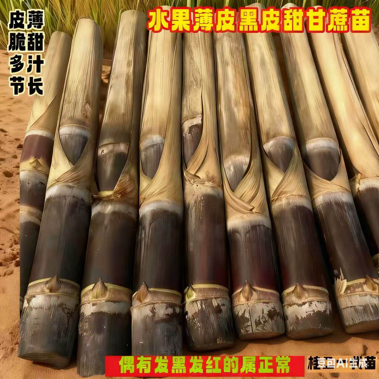 广西黑皮甘蔗苗种子带芽孢黄金黄皮南北方种植水果盆栽甜甘蔗种苗