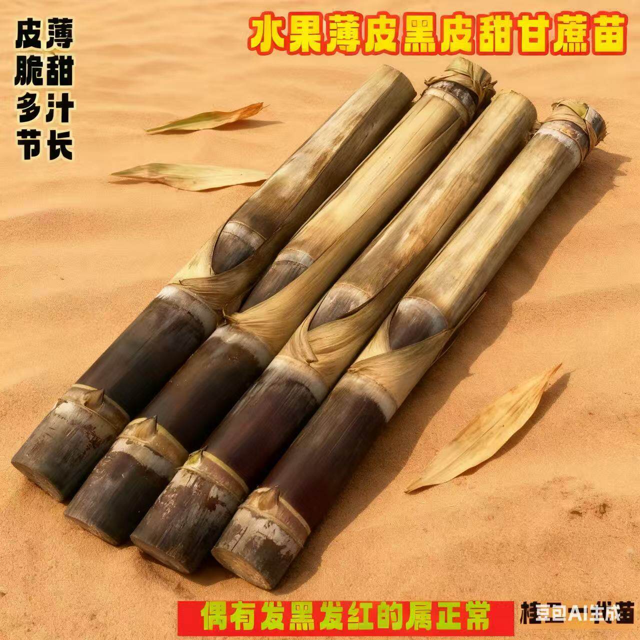 广西黑皮甘蔗苗种子带芽黄皮黄金南北方种植水果甜薄皮盆栽种苗