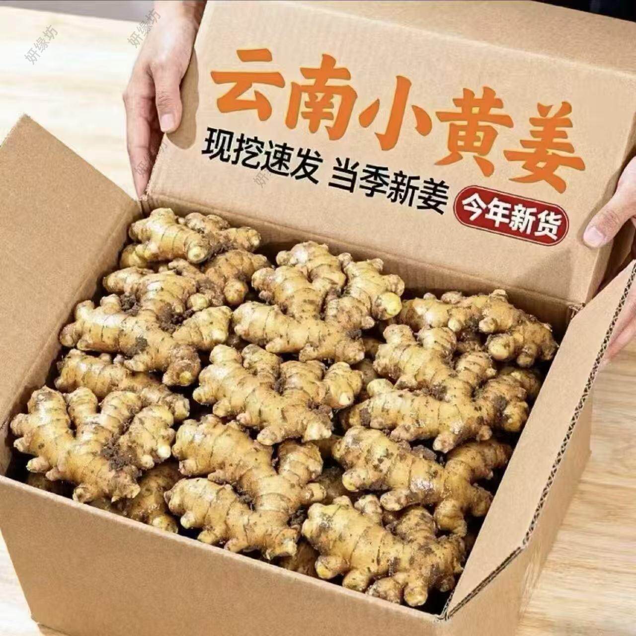 正宗云南小黄姜高山生姜月子姜老姜饭店专供辛辣十足十斤整箱购