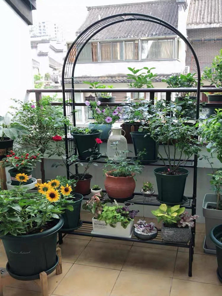 新品新品包邮铁艺拱门爬藤架置物架多层月季花架露台阳台绿植花盆