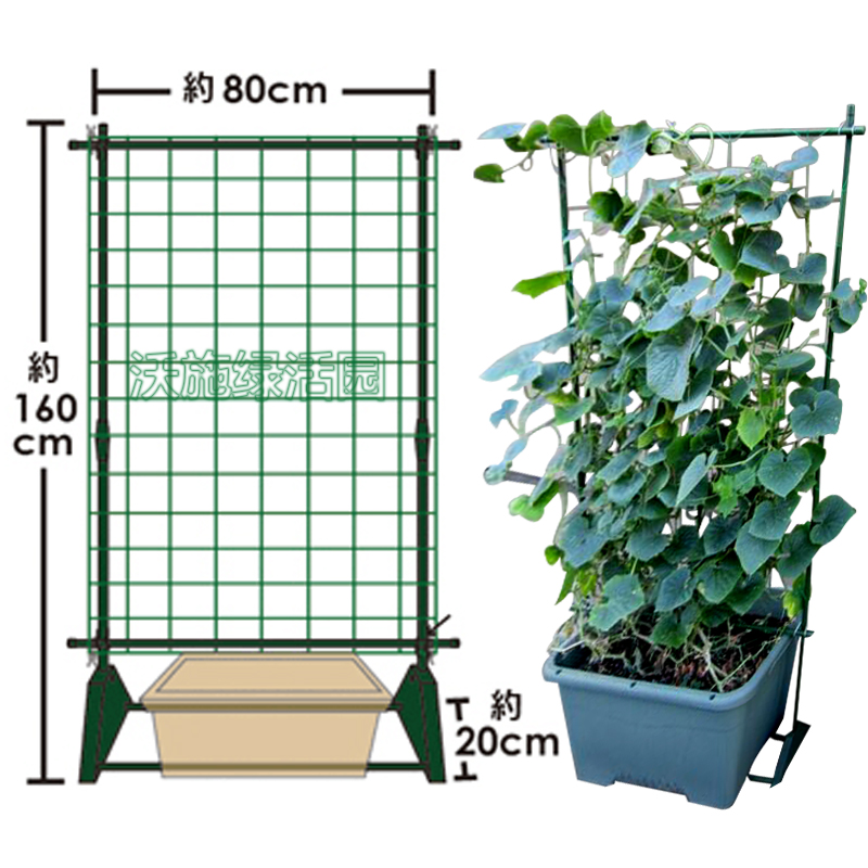 园艺支架爬藤架黄瓜豆角盆栽专用