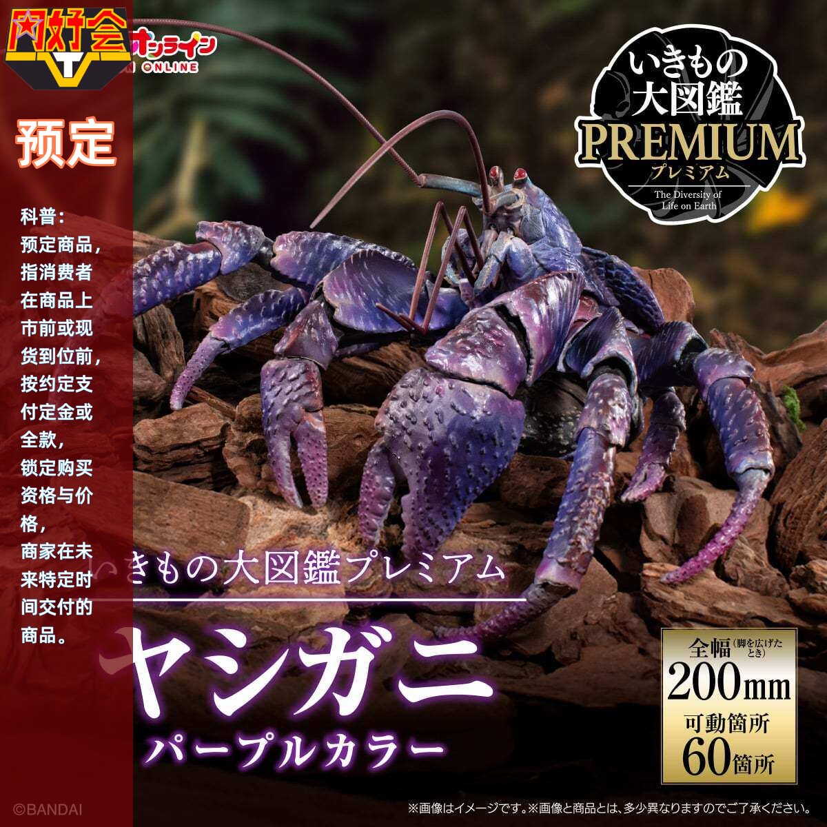 生物大图鉴PREMIUM椰子蟹紫色