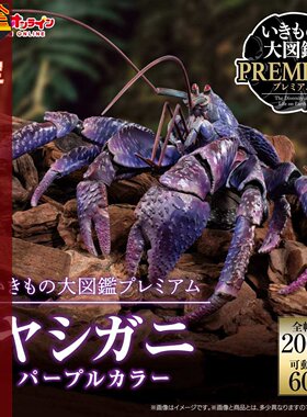 生物大图鉴PREMIUM椰子蟹紫色