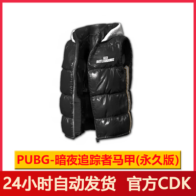 PUBG皮肤绝地求生暗夜追踪者马甲